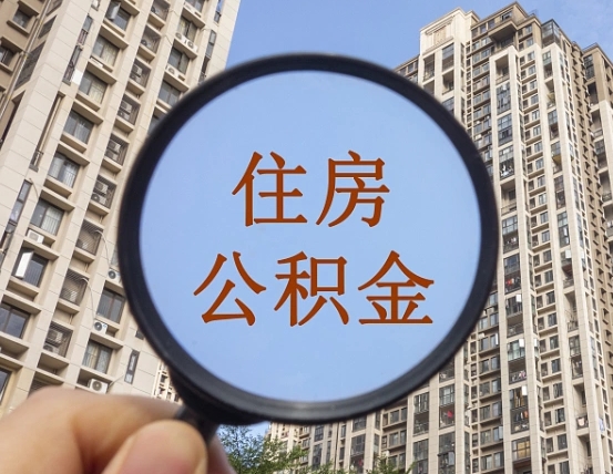 庄河退休后查不到公积金明细了吗（退休后公积金查询不到原因）